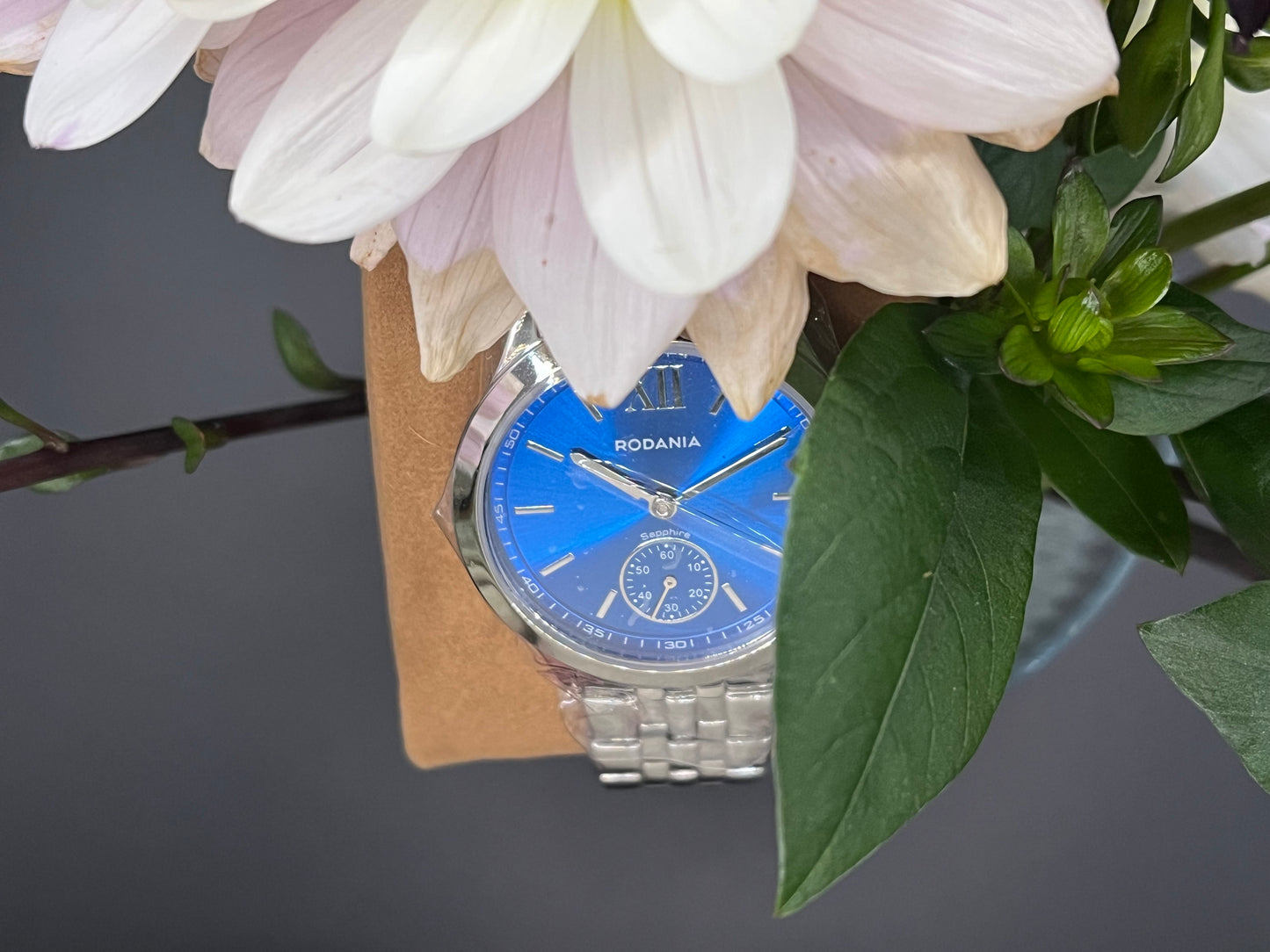 Rodania model 2624949