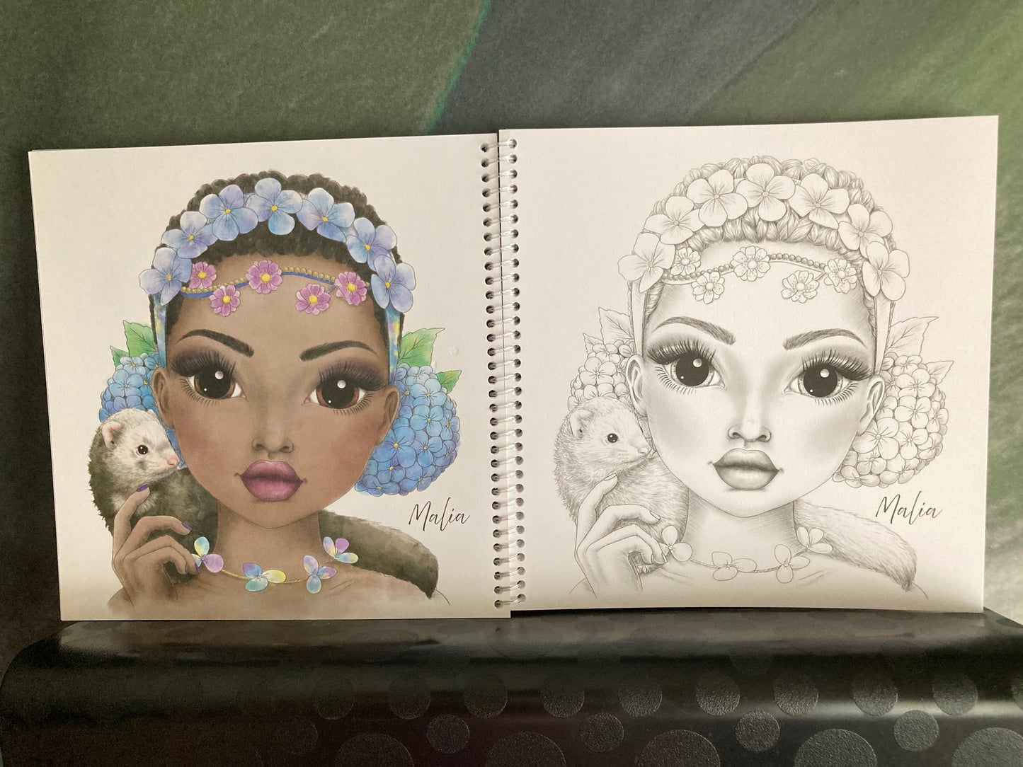 TOPMODEL Colouring Book